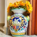 Hippocampus 住宿加早餐酒店 贾迪尼-纳克索斯