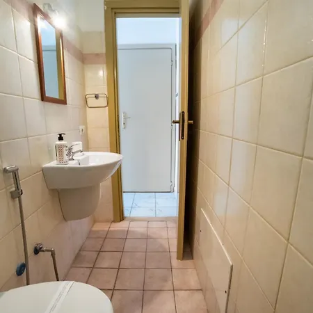 Hippocampus 贾迪尼-纳克索斯