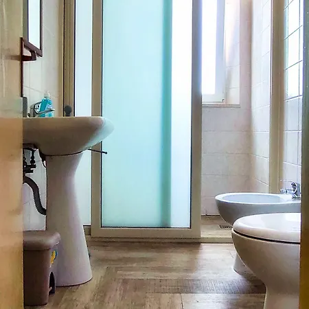 Hippocampus 贾迪尼-纳克索斯