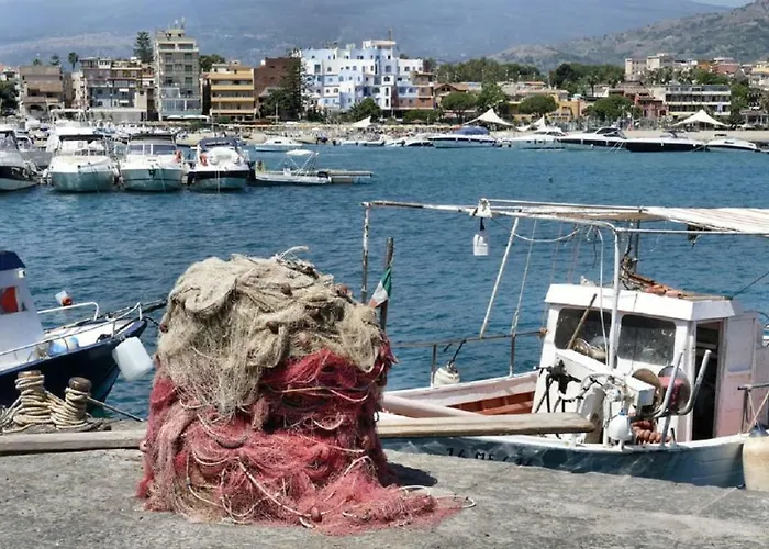 Hippocampus Bed and breakfast