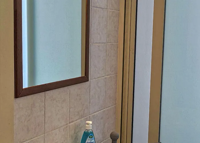 Hippocampus جيارديني ناكسوس